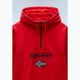 Felpa da uomo Napapijri Burgee Half Zip Hooded 2.0 rosso goji 7