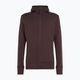 Felpa con cappuccio Icebreaker Merino 260 Quantum IV Zip Uomo agrodolce 11