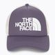 Cappello da baseball The North Face TNF Logo Trucker ardesia lunare 4