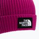 Berretto invernale per bambini The North Face TNF Box Logo Cuffed rosa fuschia 3
