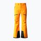 Pantaloni da sci da uomo The North Face Chakal cono arancione 5