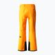 Pantaloni da sci da uomo The North Face Chakal cono arancione 6