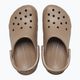 Ciabatte Crocs Classic latte 5