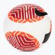 Nike pitch bianco / nero /right crimson dimensioni 5 calcio 2