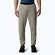 Pantaloni The North Face Mountain Athletics Fleece da uomo grigio argilla/grigio caverna