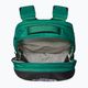 Zaino da trekking The North Face Borealis 28 l sempreverde/nero 4