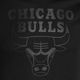 Maglietta New Era NOS NBA Regular Tee Chicago Bulls Uomo 60416757 nero 3