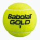 Palline da tennis Babolat Gold Championship 4 pezzi. 3