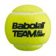 Palline da tennis Babolat Team All Court 4 pezzi. 3