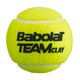 Palline da tennis Babolat Team Clay 4 pz. 3