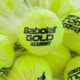 Babolat Gold Academy Palline da tennis Borsa 72 pezzi. 2