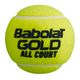 Palline da tennis Babolat Gold All Court 4 pezzi. 2