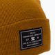 DC Label cappellino invernale da uomo cathay spice 3