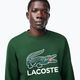 Felpa Lacoste uomo SH1281 verde 4