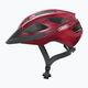 ABUS casco da bicicletta Macator rosso bordeaux 3