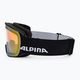 Occhiali da sci Alpina Nakiska Q-Lite nero opaco/oro 4