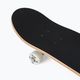 Playlife Mighty Bear - skateboard classico 6