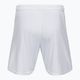 Capelli Sport Cs One Adult Match bianco/nero pantaloncini da calcio per bambini 2