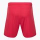 Capelli Sport Cs One Adult Match pantaloncini da calcio da bambino rosso/bianco 2