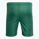 Capelli Sport Cs One Youth Match verde/bianco pantaloncini da calcio per bambini 2