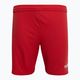 Capelli Sport Cs One Youth Match rosso/bianco pantaloncini da calcio per bambini