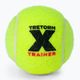 Tretorn X-Trainer 3T44 72 palline da tennis. 2