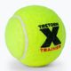 Tretorn X-Trainer 3T44 72 palline da tennis. 3