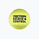 Palline da tennis Tretorn Serie+Control 3T012 4 pz. 2