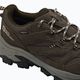 Jack Wolfskin Vojo Tour Texapore Low stivali da trekking caffè freddo 5