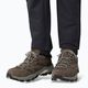 Jack Wolfskin Vojo Tour Texapore Low stivali da trekking caffè freddo 6