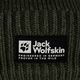 Jack Wolfskin Playn Logo Beanie berretto invernale island moss 4