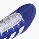 Scarpe da boxe adidas Box Hog 4 blu navy HP9612 16