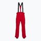 Pantaloni da sci da uomo Descente Swiss electric red 6
