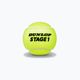 Palline da tennis per bambini Dunlop Stage 1 60 pz. verde 601342 2