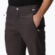 Pantaloni softshell da uomo REGATTA Geo Softshell II cenere 4