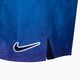 Pantaloncini da bagno Nike Just Do It Fade 5" Volley Uomo, viola psichico 4