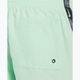 Pantaloncini da bagno Nike Logo Tape 5" Volley uomo verde vapore 10