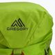 Gregory Alpinisto 35 l zaino da arrampicata verde lich 5