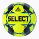 SELEZIONE X-Turf IMS calcio 2019 0865146559 dimensioni 5