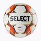 SELEZIONARE Pionieer TB FIFA Basic calcio 111084 dimensioni 5