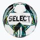 SELECT Match DB FIFA Basic v23 120063 dimensioni 5 calcio