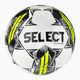 SELECT Club DB v23 120066 dimensioni 4 calcio 2