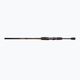 Canna da spinning DRAGON Fishing Express Spinn 35