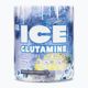 Glutammina Fitness Authority Fa Ice 300 g congelato mora/ananas