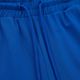 Pantaloni Durango Jogging 210 blu royal Pitbull West Coast da uomo 3