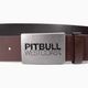 Cintura per pantaloni da uomo Pitbull West Coast Original Leather TNT marrone 2