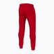 Pantaloni da jogging Pitbull West Coast New Hilltop da uomo, rosso 4