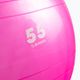 Palla da ginnastica Gipara Fitness 3998 55 cm rosa 2