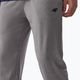 Pantaloni da uomo 4F M350 grigio chiaro freddo melange 3