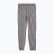 Pantaloni da uomo 4F M350 grigio chiaro freddo melange 4